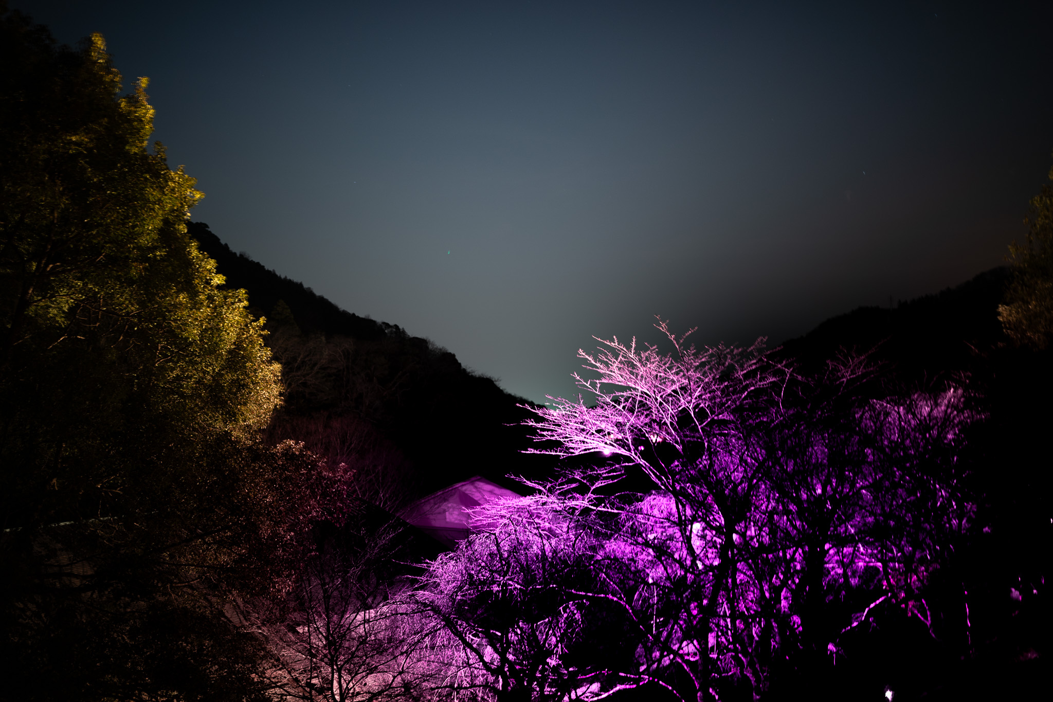 hakone